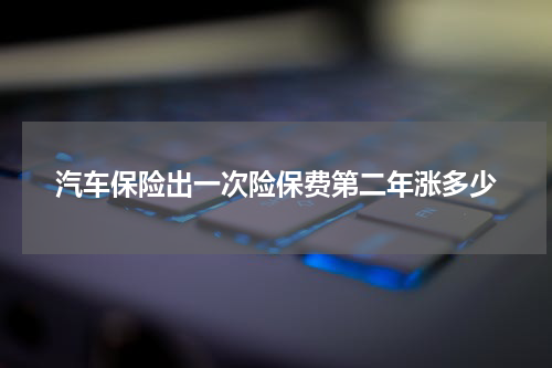汽车保险出一次险保费第二年涨多少
