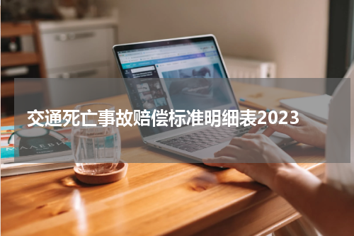 交通死亡事故赔偿标准明细表2023