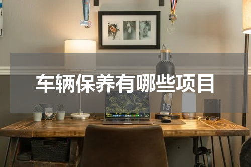 车辆保养有哪些项目