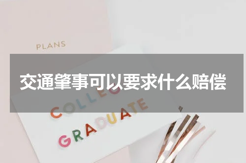 交通肇事可以要求什么赔偿