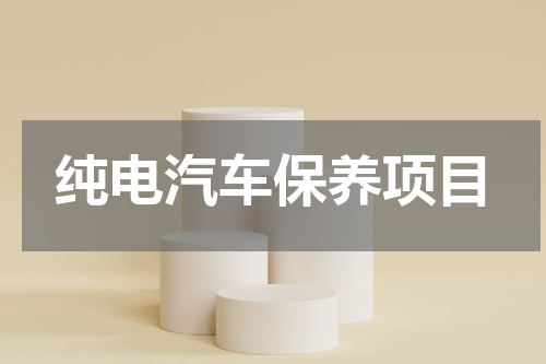 纯电汽车保养项目