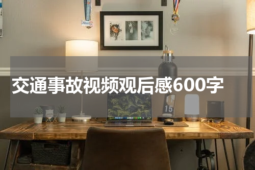 交通事故视频观后感600字