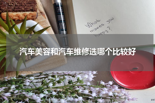 汽车美容和汽车维修选哪个比较好