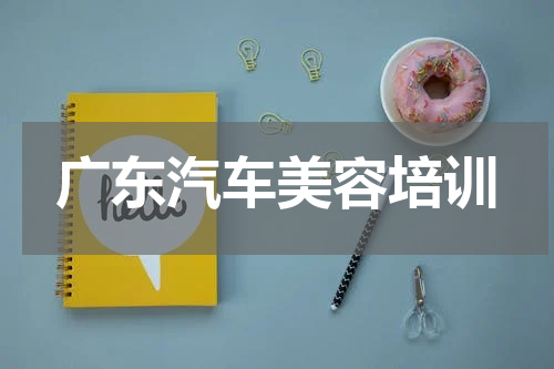 广东汽车美容培训