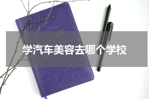 学汽车美容去哪个学校