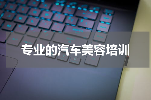专业的汽车美容培训