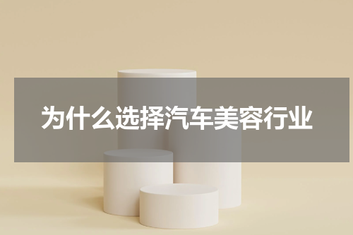 为什么选择汽车美容行业