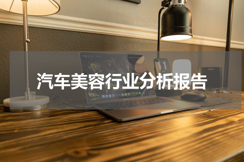 汽车美容行业分析报告
