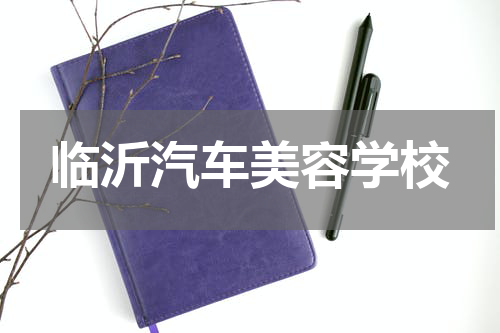 临沂汽车美容学校