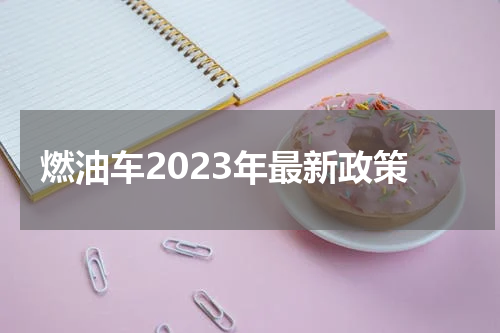 燃油车2023年最新政策