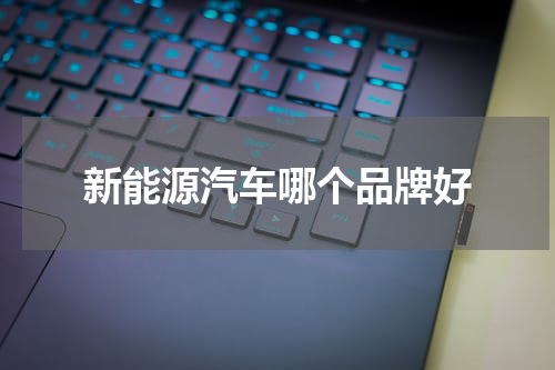 新能源汽车哪个品牌好