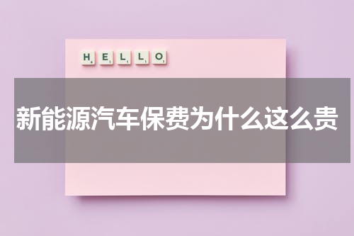 新能源汽车保费为什么这么贵