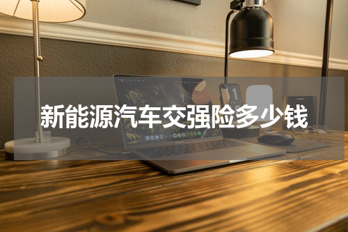 新能源汽车交强险多少钱