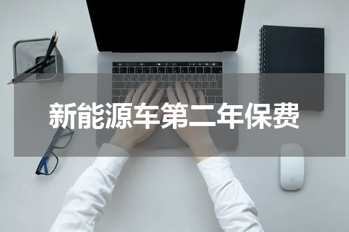 新能源车第二年保费