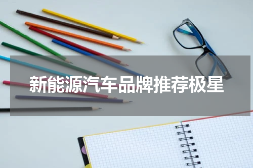 新能源汽车品牌推荐极星