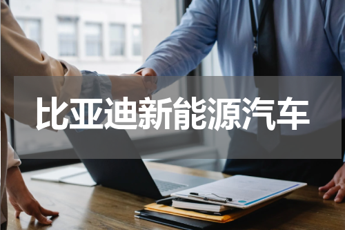 比亚迪新能源汽车