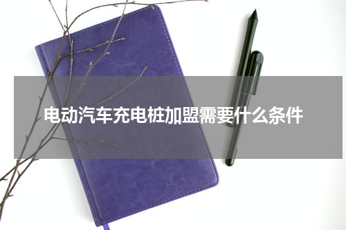 电动汽车充电桩加盟需要什么条件