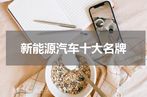 新能源汽车十大名牌