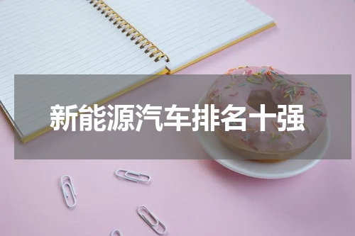 新能源汽车排名十强