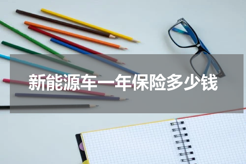 新能源车一年保险多少钱