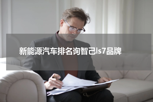 新能源汽车排名询智己ls7品牌