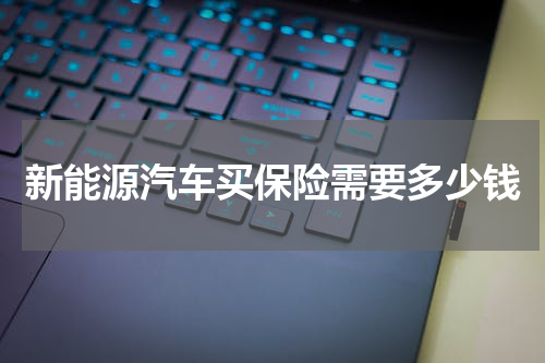 新能源汽车买保险需要多少钱