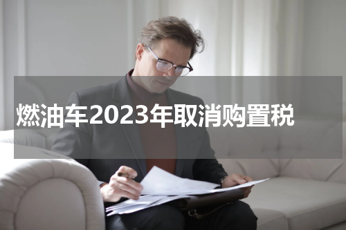 燃油车2023年取消购置税