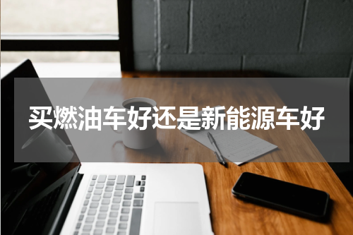 买燃油车好还是新能源车好