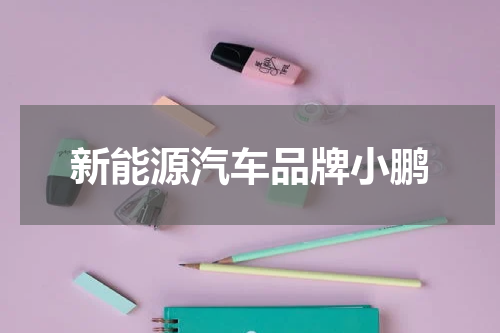 新能源汽车品牌小鹏