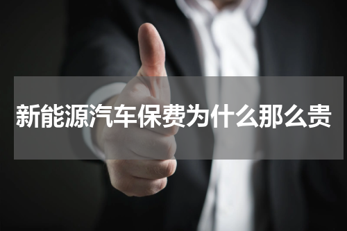新能源汽车保费为什么那么贵