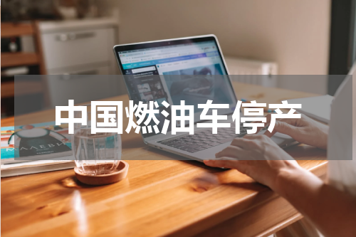 中国燃油车停产