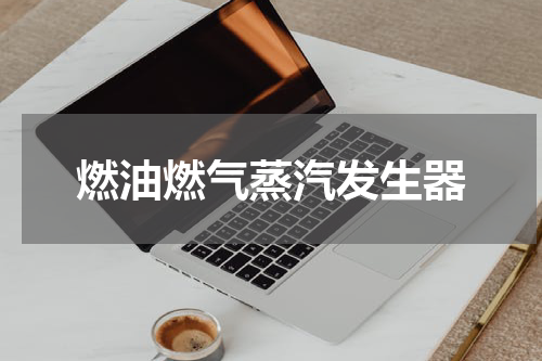 燃油燃气蒸汽发生器