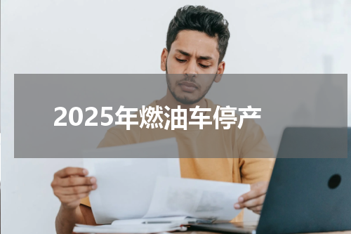 2025年燃油车停产