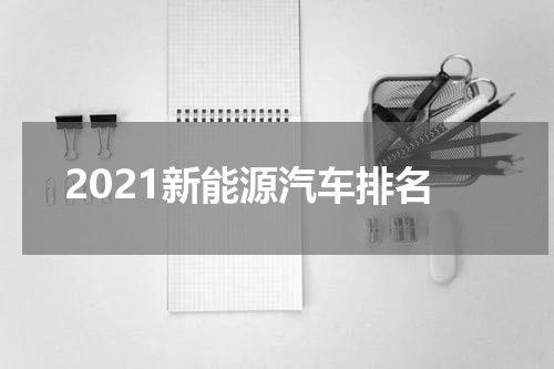 2021新能源汽车排名
