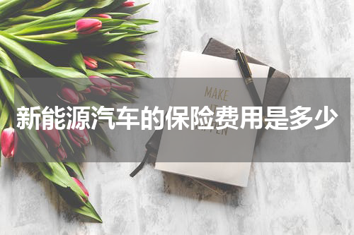 新能源汽车的保险费用是多少