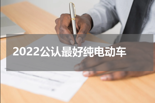 2022公认最好纯电动车