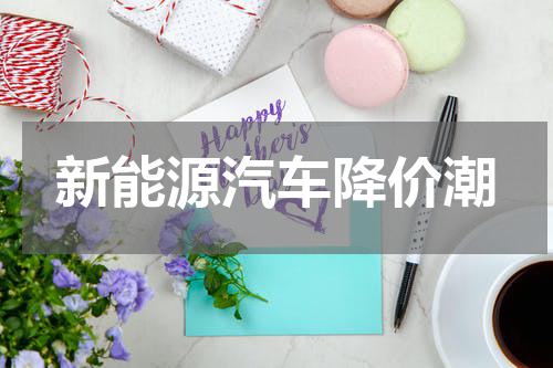 新能源汽车降价潮
