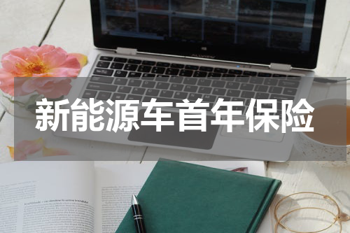 新能源车首年保险