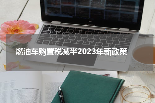 燃油车购置税减半2023年新政策
