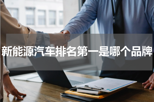 新能源汽车排名第一是哪个品牌