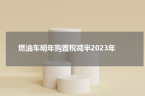 燃油车明年购置税减半2023年