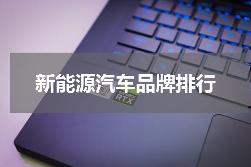 新能源汽车品牌排行
