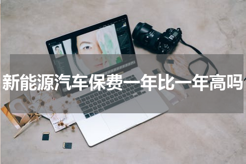 新能源汽车保费一年比一年高吗