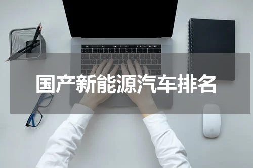 国产新能源汽车排名