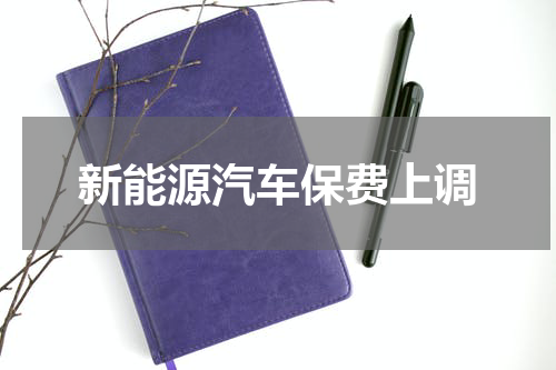 新能源汽车保费上调