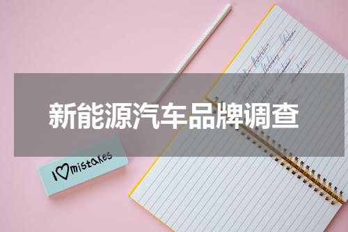 新能源汽车品牌调查