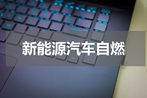 新能源汽车自燃