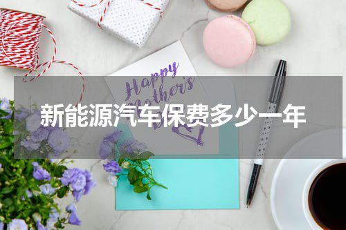 新能源汽车保费多少一年