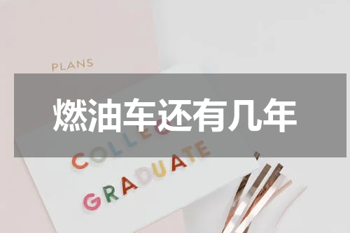 燃油车还有几年