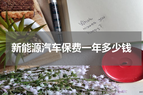 新能源汽车保费一年多少钱
